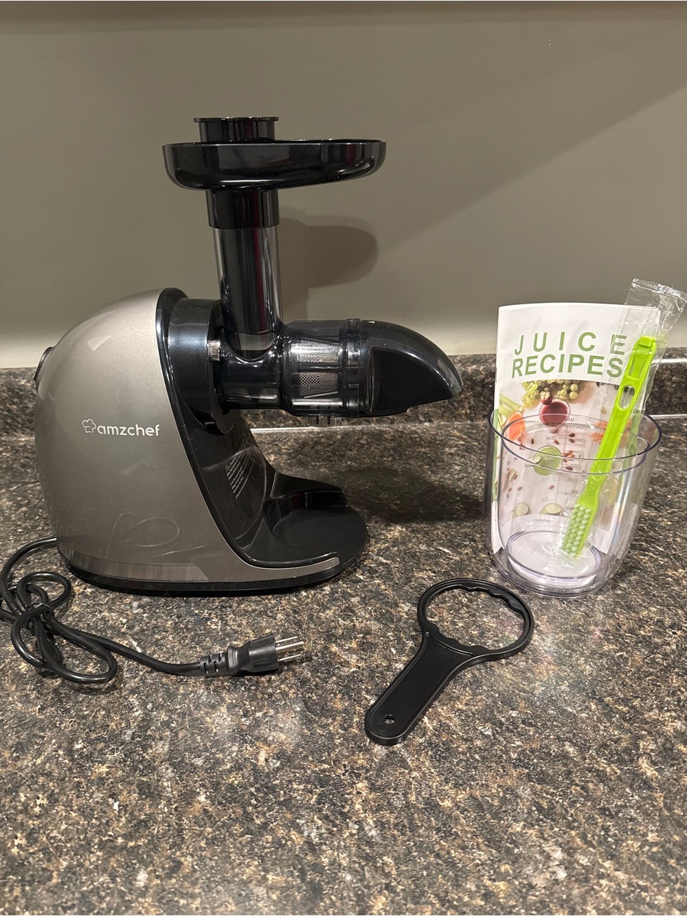 Amzchef Slow Masticating Juicer – Gray